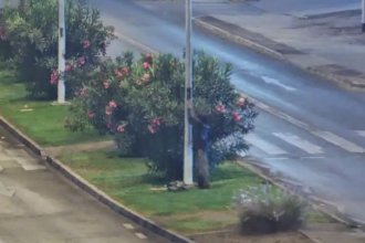 WhatsApp Image 2026-04-22 at 11.35.46.jpeg